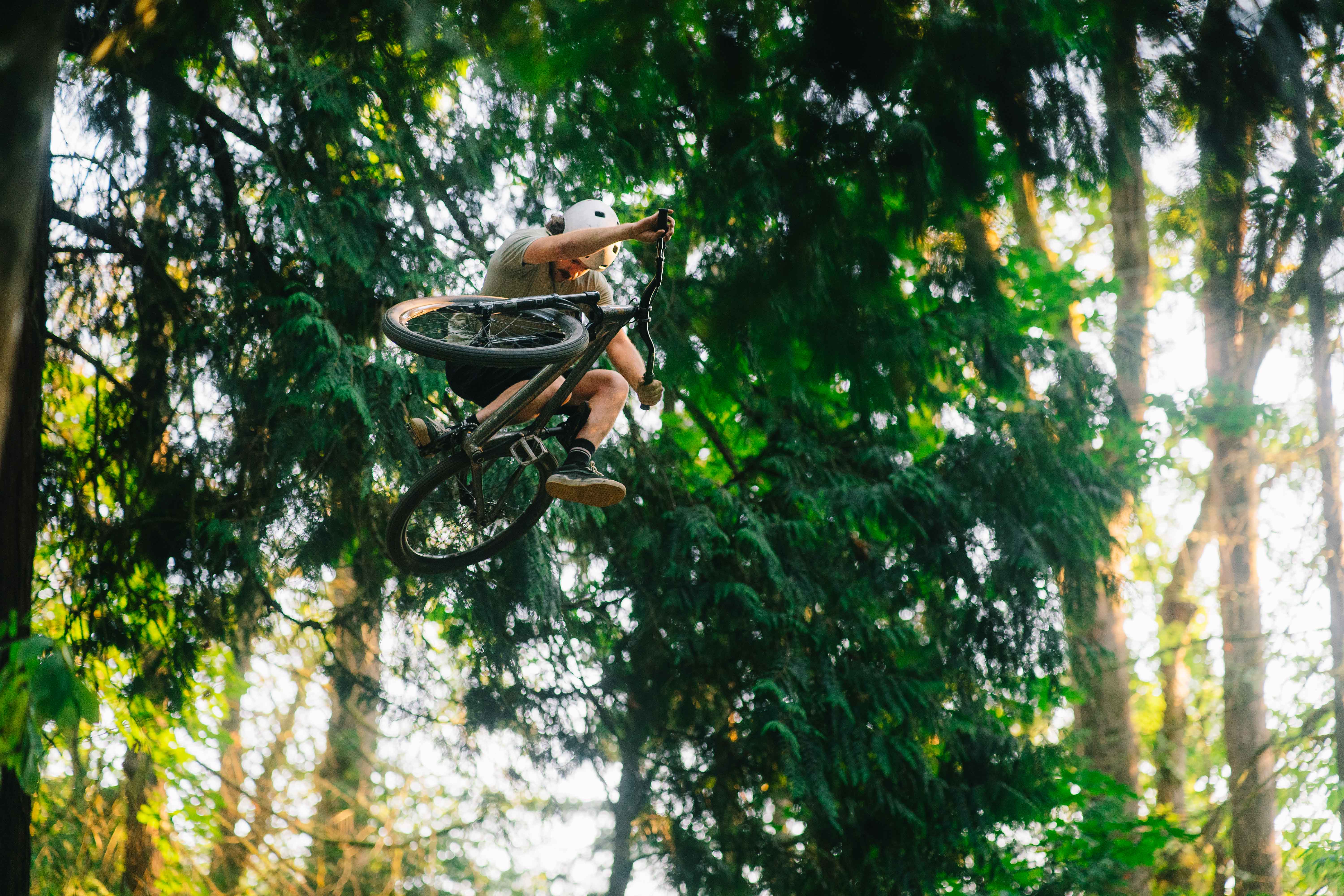 Transition PBJ 26 Dirt Jumper - Image 4